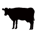 牛アイコン